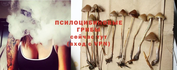 эйфоретик Чекалин
