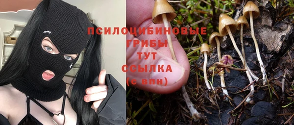 СК Иннополис