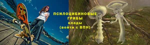 первитин Каменногорск