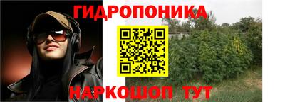 мдпв Гусев