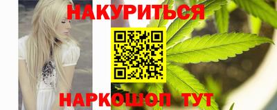 мдпв Гусев